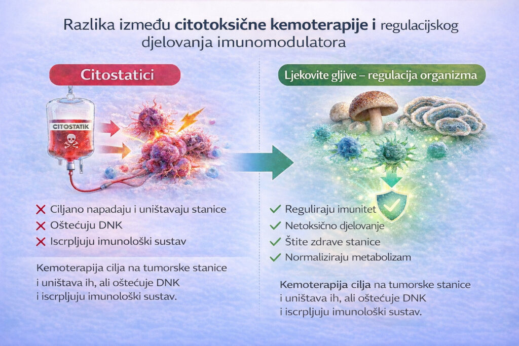 Razlika između citotoksične kemoterapije i regulacijskog djelovanja imunomodulatora
